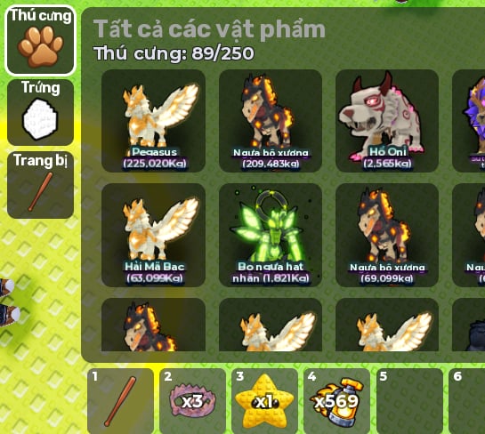 Ảnh 6