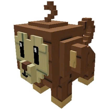 Pet monkey