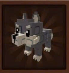 Pet Wolf