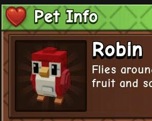 Pet Robin