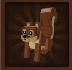Pet Squire